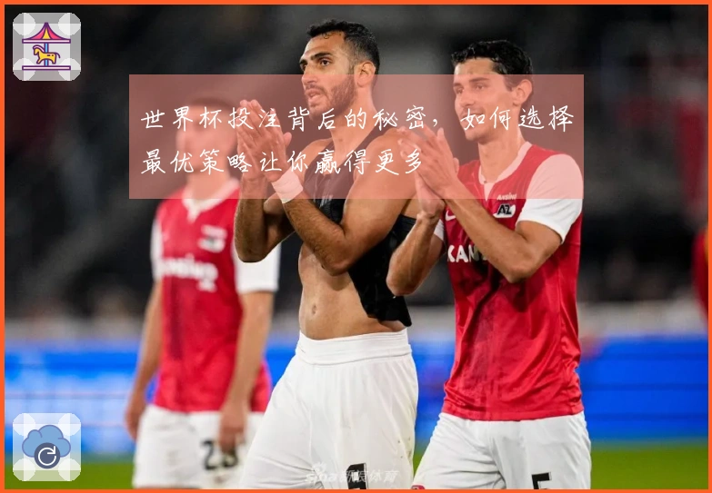 世界杯投注背后的秘密，如何选择最优策略让你赢得更多