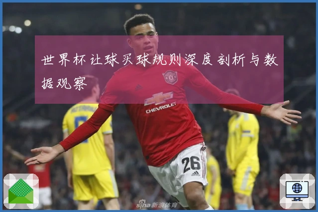 世界杯让球买球规则深度剖析与数据观察
