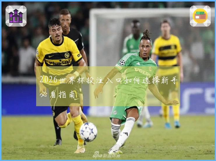 2026世界杯投注入口如何选择新手必看指南