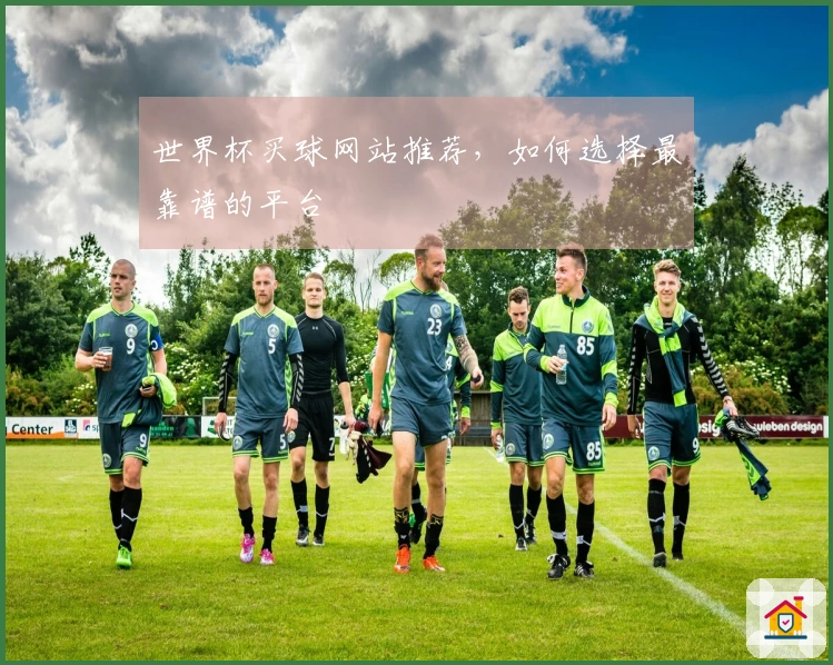 世界杯买球网站推荐，如何选择最靠谱的平台
